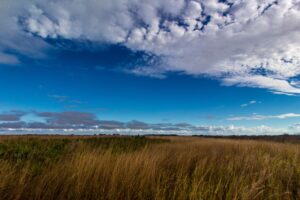 Kissimmee Florida Homes